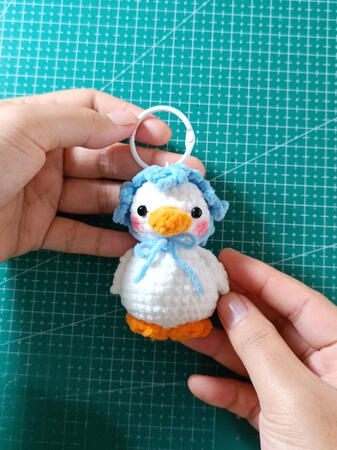 duck with bonnet duck with bonnet